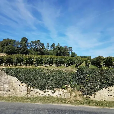 Castle Apartment In Chaleix By Forest, Cleaning Included * Chalais (Dordogne)